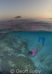 snorkelling in the evening with the liveaboard Oceandance... by Geoff Spiby 